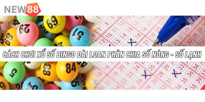 Lựa chọn và phân chia số nóng - lạnh khi tham gia xổ số Bingo