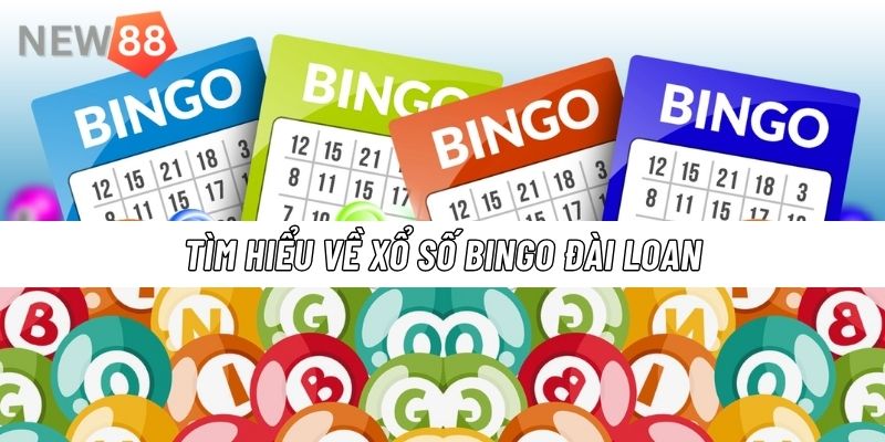 Xổ số Bingo Đài Loan là gì - Vì sao trò chơi này lại được yêu thích đến vậy?