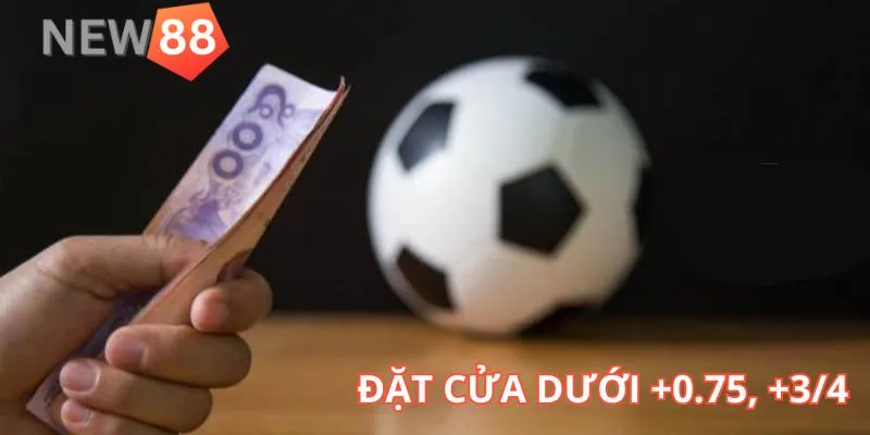 Kinh nghiệm chơi kèo chấp nửa một hiệu quả từ New88 Trường hợp đặt cửa dưới +¾, +0.75