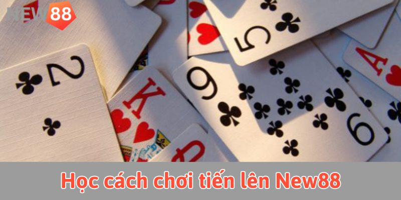 Học cách chơi tiến lên New88