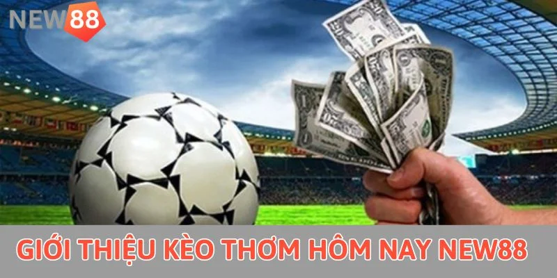 Giới thiệu kèo thơm hôm nay New88 