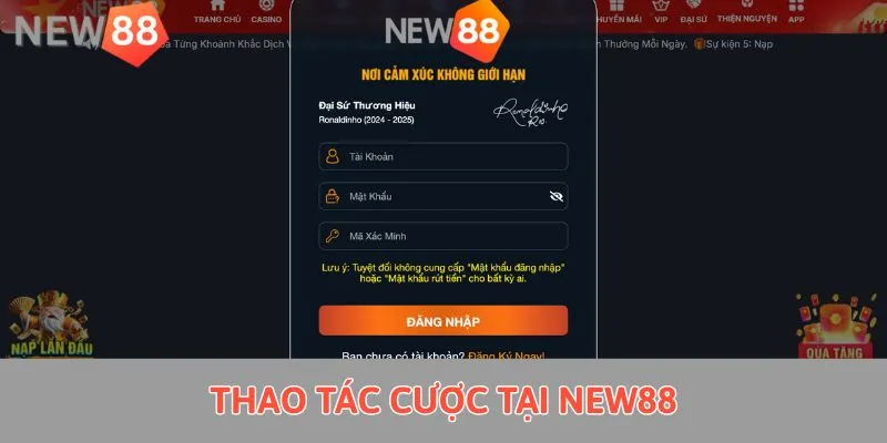 Thao tác cược tại New88 