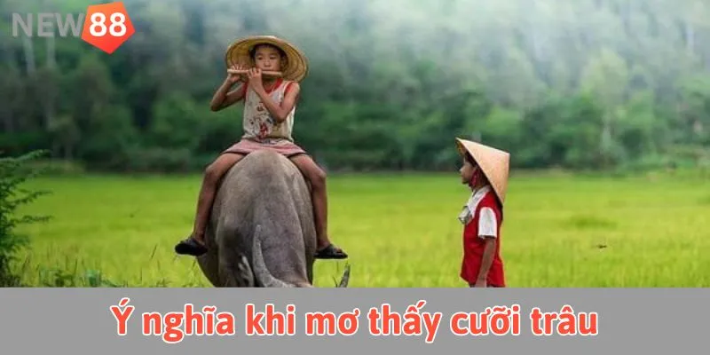 Ý nghĩa bí ẩn khi mơ thấy cưỡi trâu
